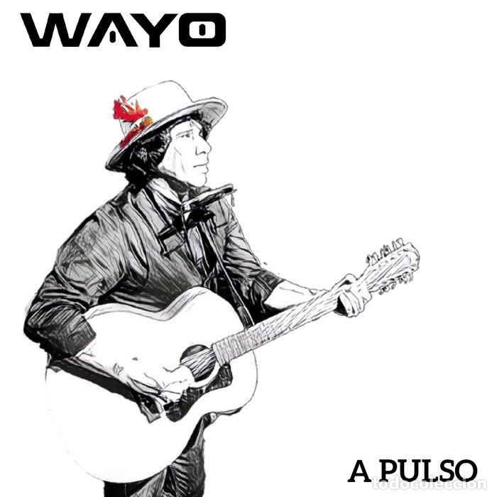 Libros: A PULSO - WAYO, WAYO