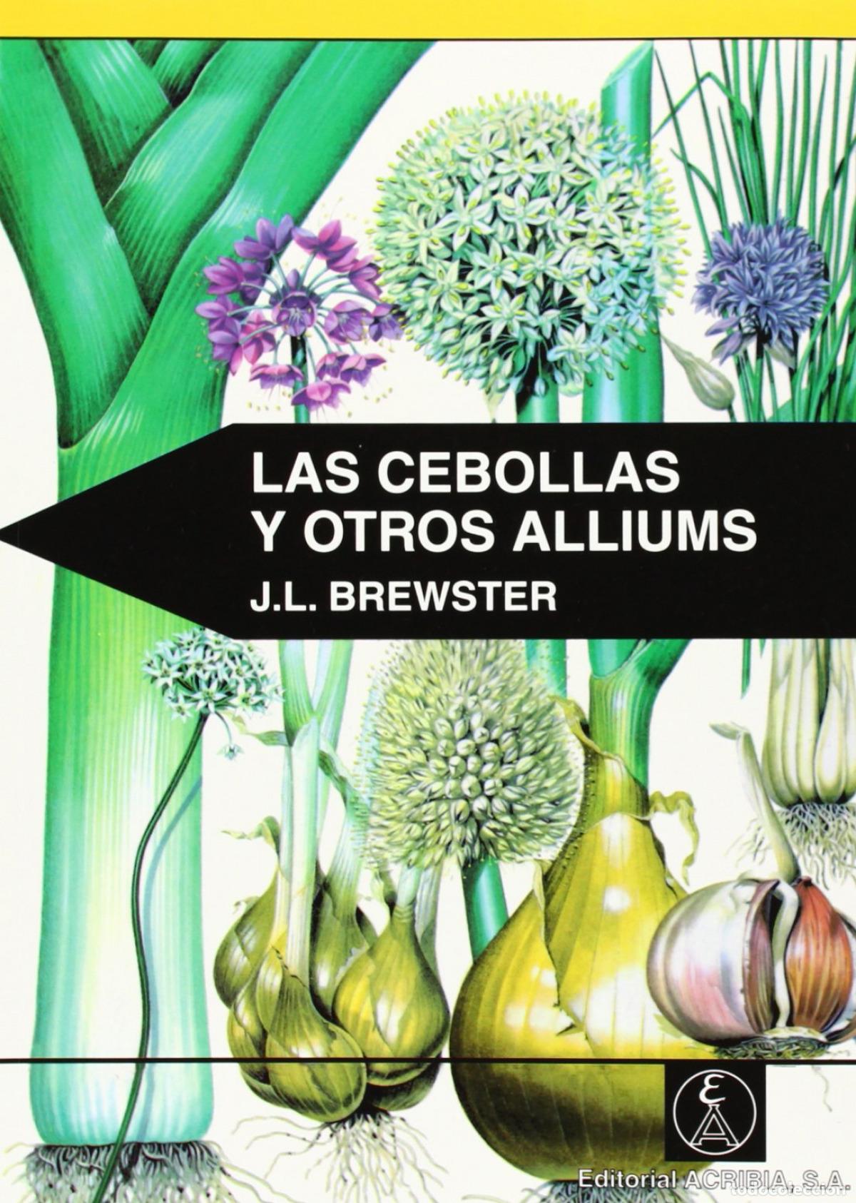 Libros: LAS CEBOLLAS/OTROS ALLIUMS - Brewster, J L