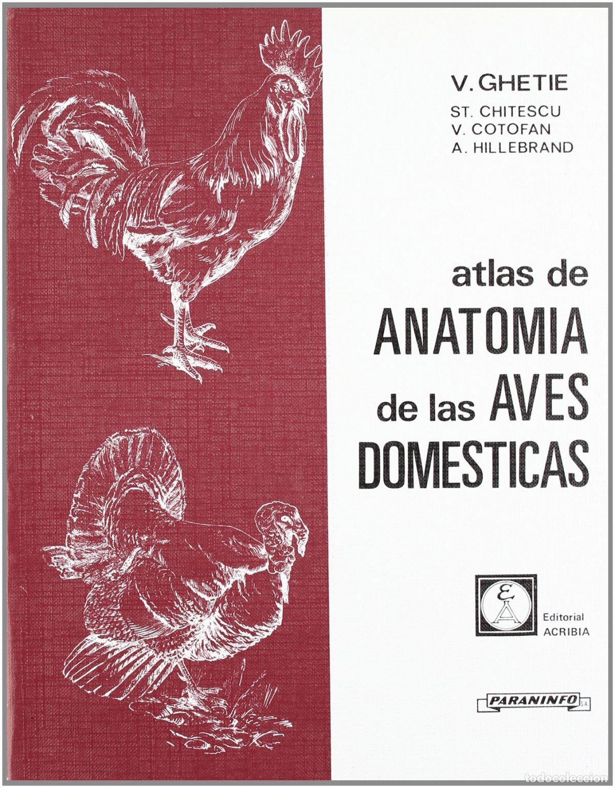 Libros: ATLAS DE ANATOM&Iacute;A DE LAS AVES DOM&Eacute;STICAS - VV.AA.