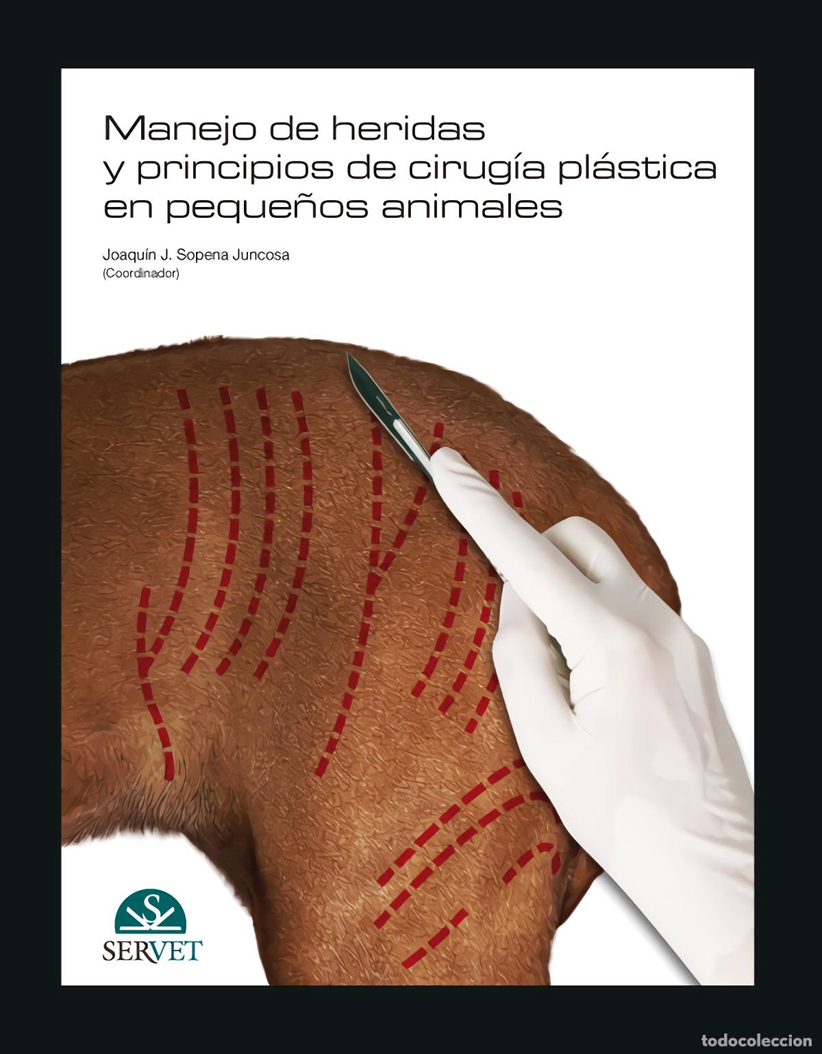 Libri: MANEJO DE HERIDAS Y PRINCIPIOS DE CIRUG&Iacute;A PL&Aacute;STICA EN PEQUE&Ntilde;OS ANIMALES - Amat Sanju&aacute;n, Ana