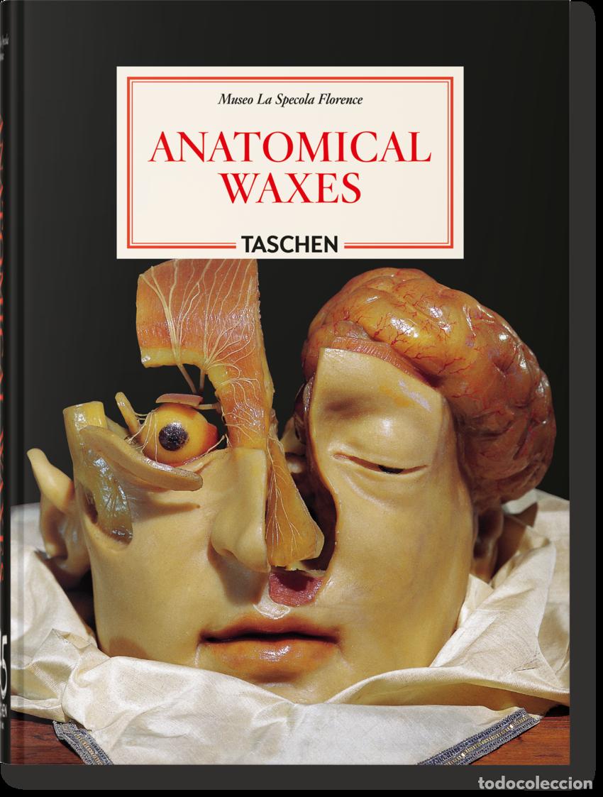 B&uuml;cher: ANATOMICAL WAXES. 45TH ED. - Poggesi, Marta