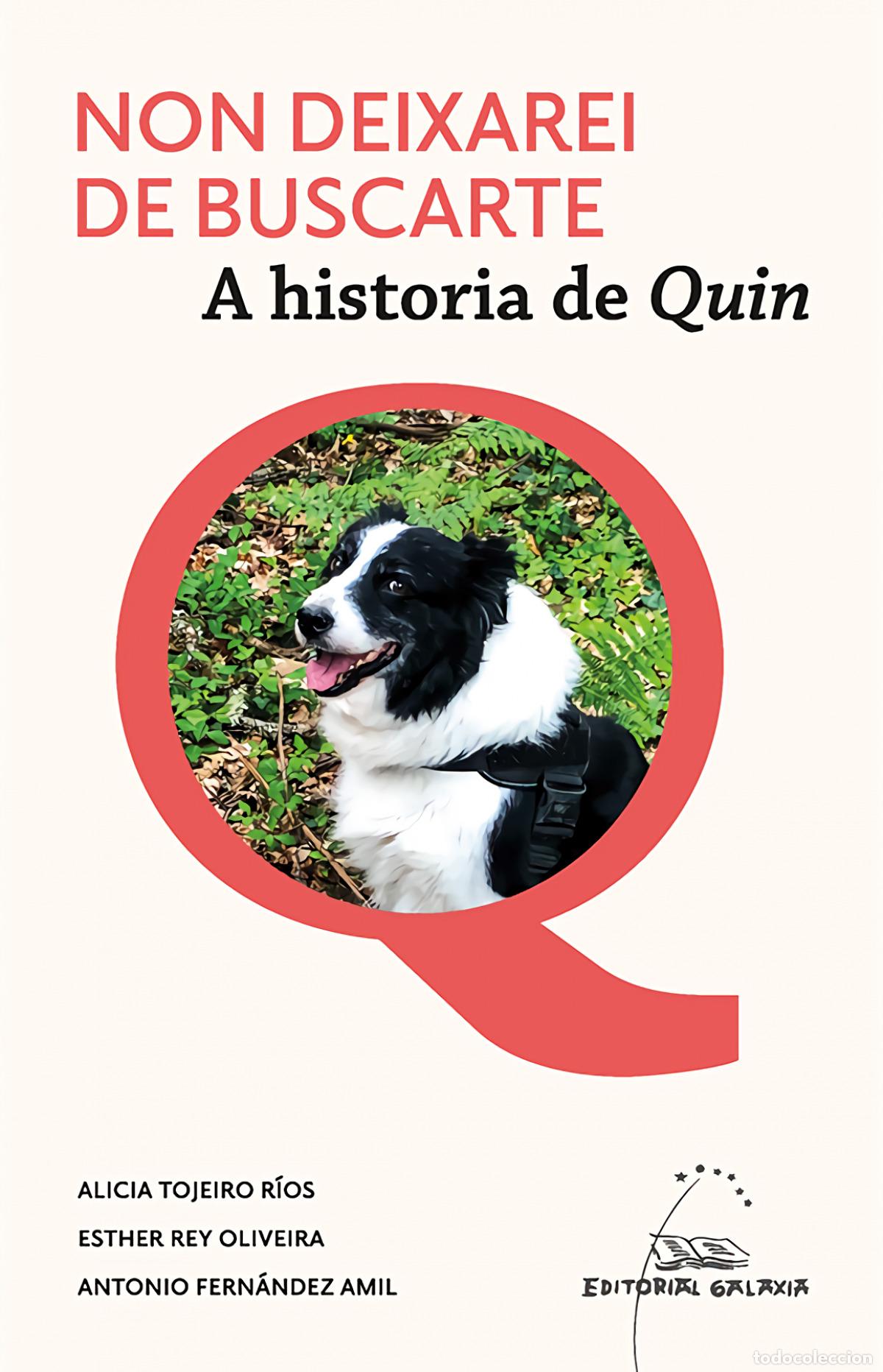 Libros: NON DEIXAREI DE BUSCARTE. A HISTORIA DE QUIN - Varios