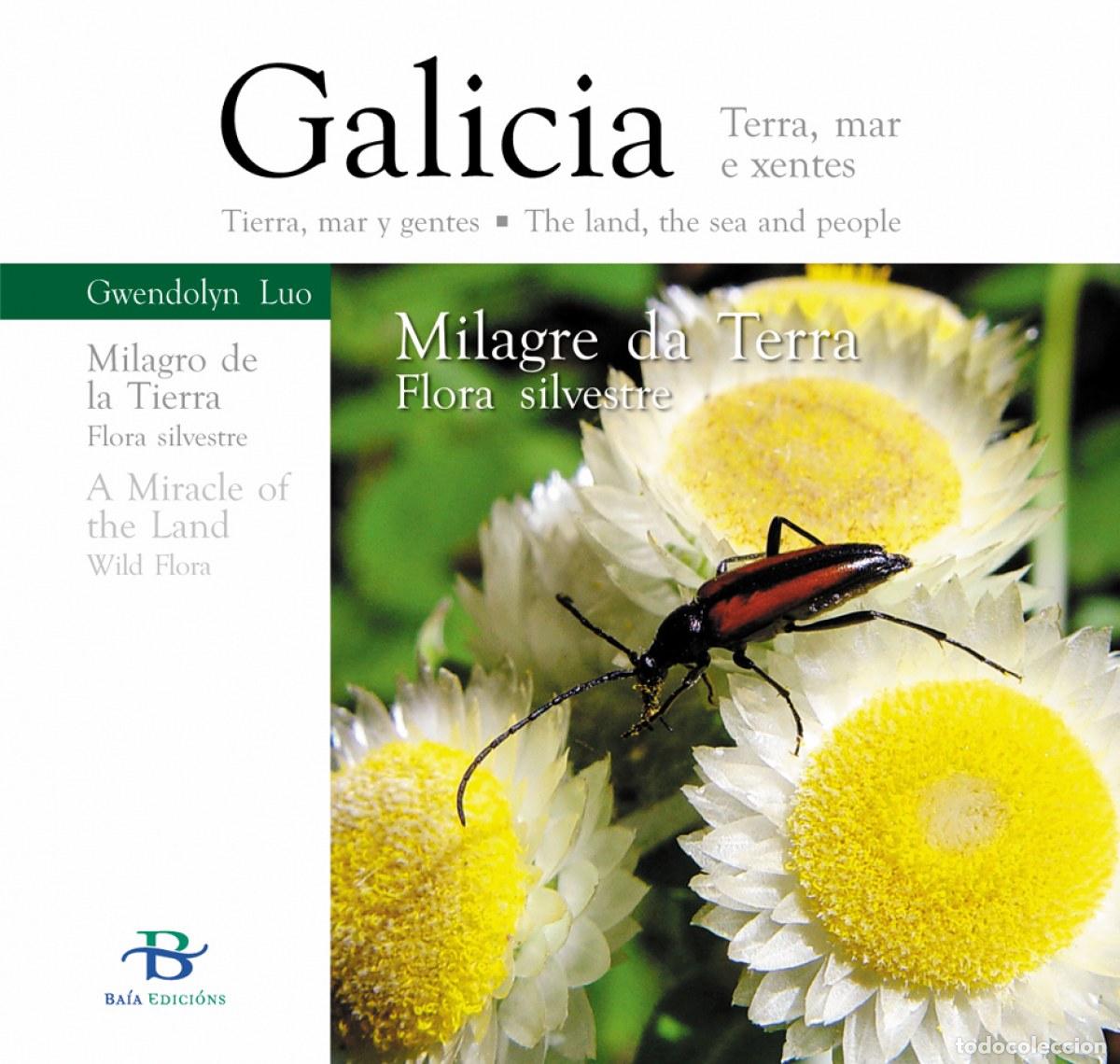 Livres: MILAGRE DA TERRA - Gwendolyn, Luo