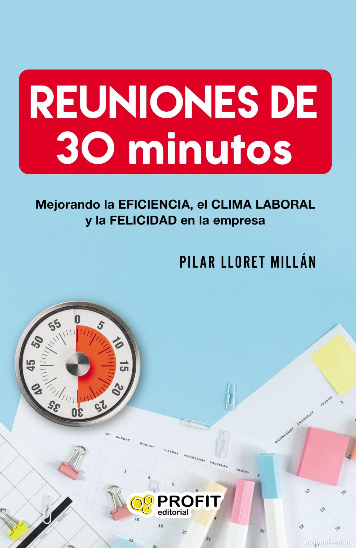 Libros: REUNIONES DE 30 MINUTOS - Lloret Mill&aacute;n, Pilar