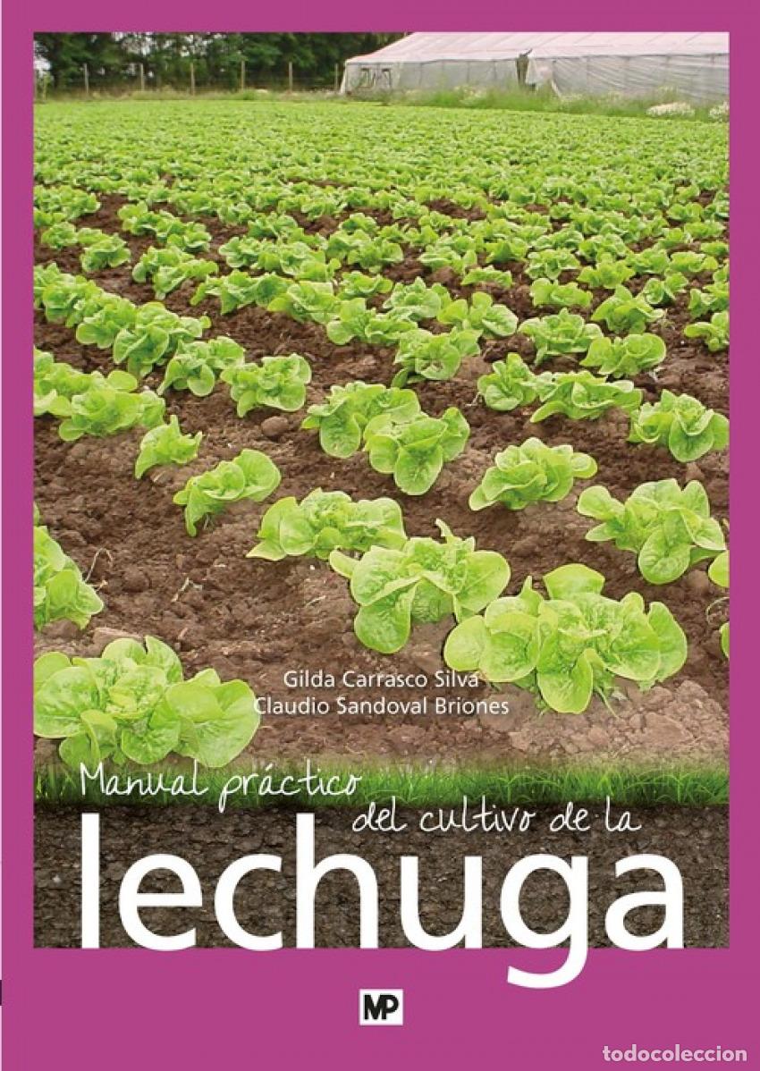 Livres: MANUAL PRACTICO DE CULTIVO DE LECHUGA - VV.AA.
