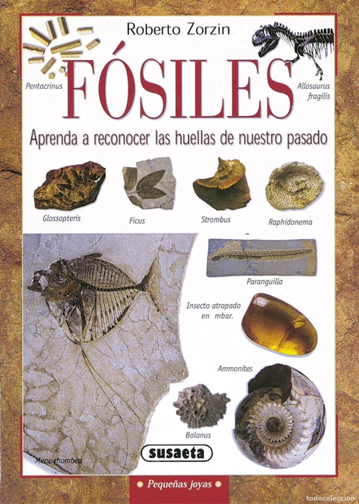 Libros: F&Oacute;SILES - Zorzin, Roberto