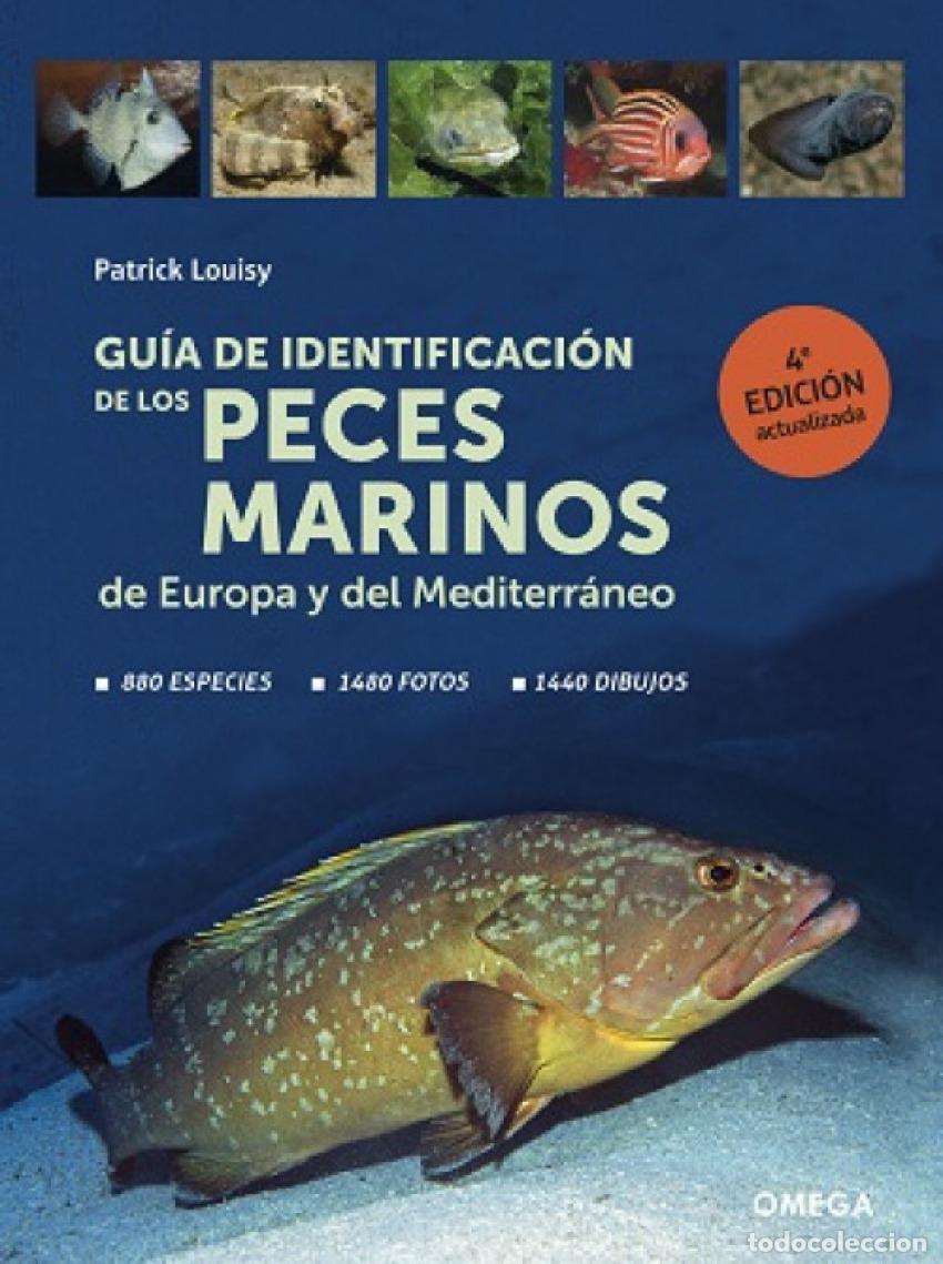 B&uuml;cher: GUIA DE IDENTIFICACION DE LOS PECES MARINOS DE EUROPA - PATRICK LOUISY