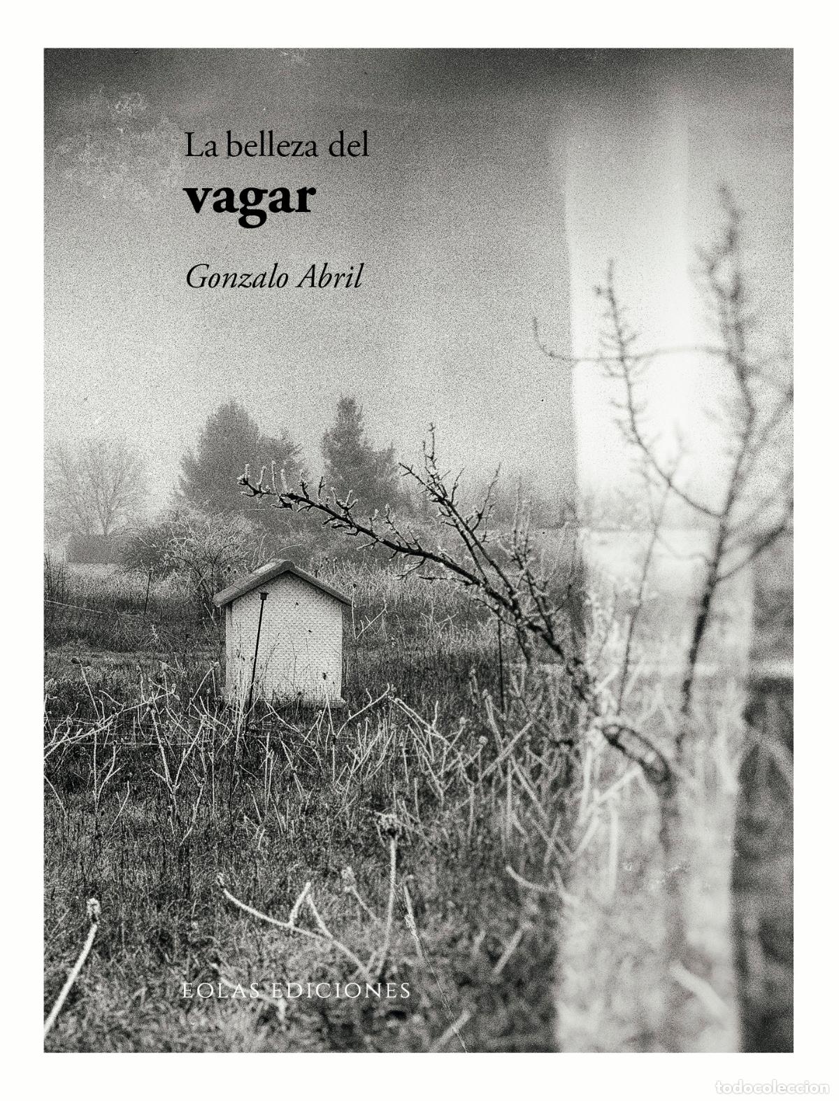 Libri: LA BELLEZA DEL VAGAR - Abril, Gonzalo