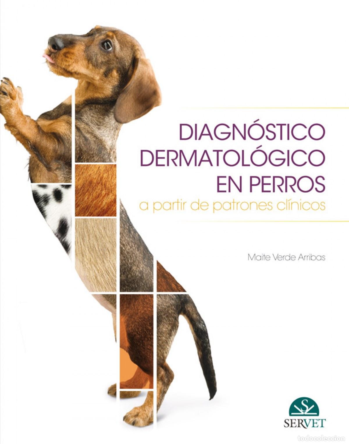 Livres: DIAGN&Oacute;STICO DERMATOL&Oacute;GICO EN PERROS - Verde Arribas, Maite