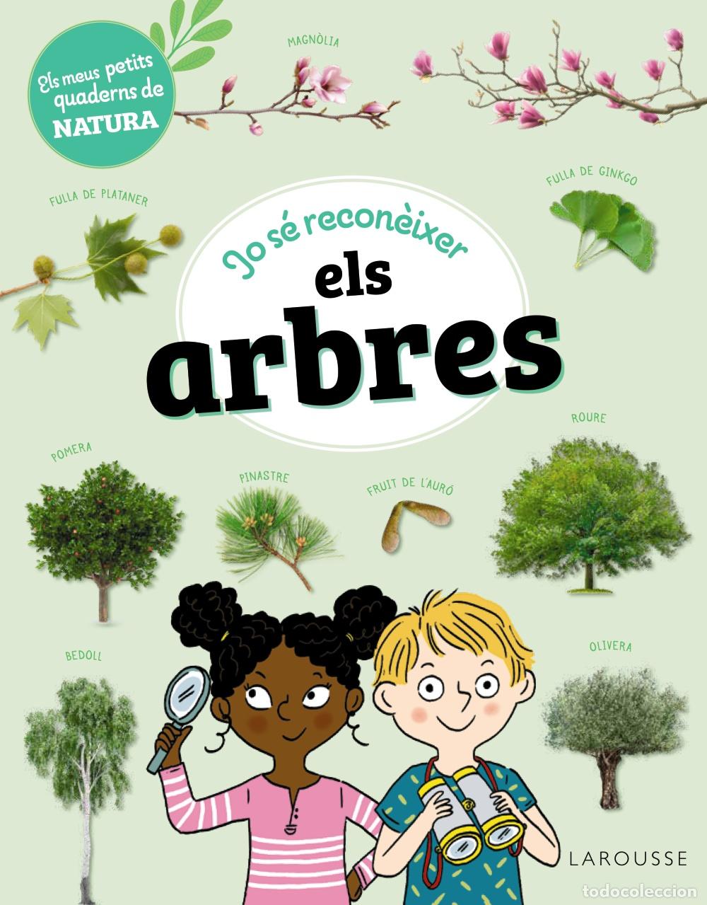 Libros: JO S&Eacute; RECON&Egrave;IXER ELS ARBRES - Lebrun, Sandra