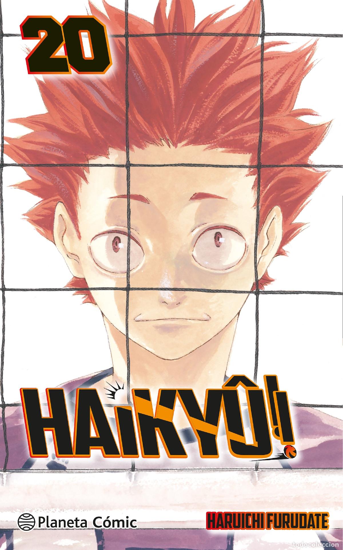 B&uuml;cher: HAIKY&Ucirc;!! N&ordm; 20 - Furudate, Haruichi