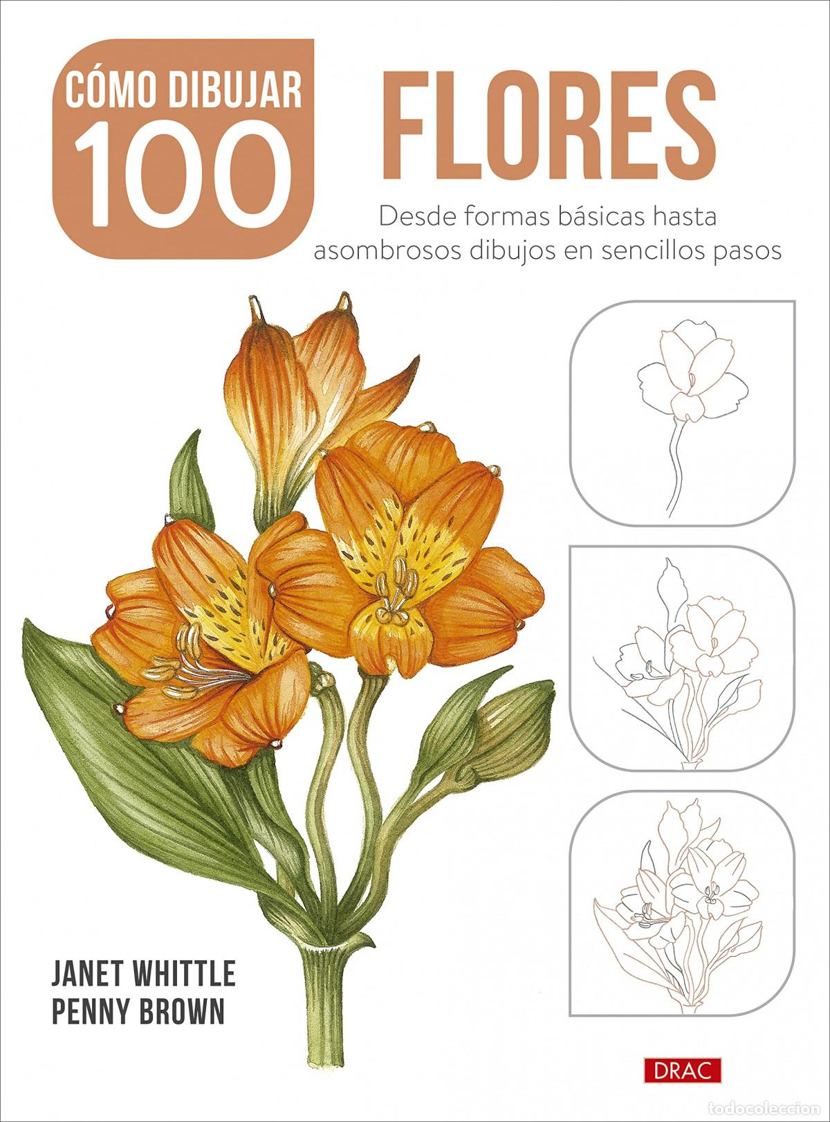 Livres: C&Oacute;MO DIBUJAR 100 FLORES - Whittle, Janet
