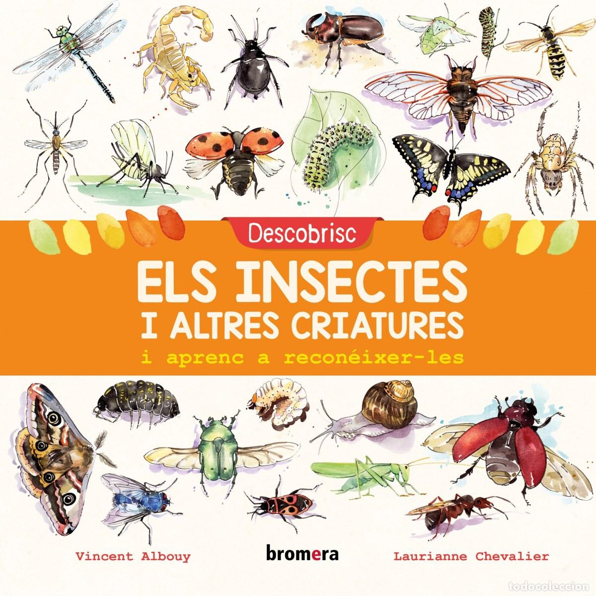 Livros: DESCOBRISC ELS INSECTES I ALTRES CRIATURES I APRENC A RECON&Egrave;IXER-LES - Albouy, Vicent