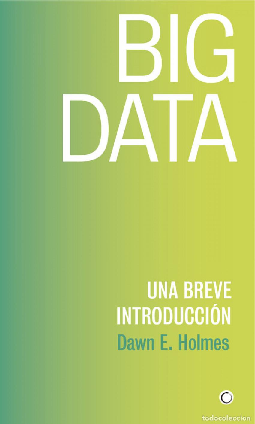 B&uuml;cher: BIG DATA - Holmes, Dawn E