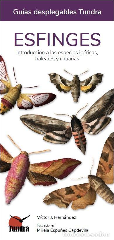 Libros: ESFINGES GUIAS DESPLEGABLES TUNDRA - HERNANDEZ, VICTOR J