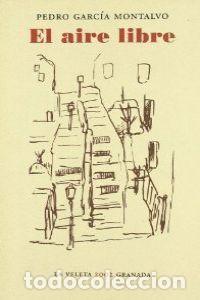 Livros: AIRE LIBRE,EL - PEDRO GARCIA MONTALVO