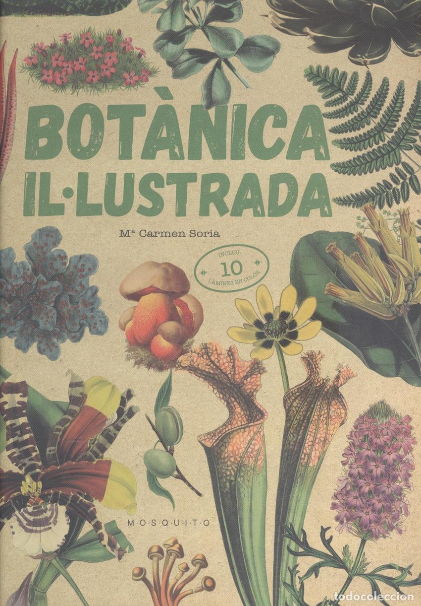 books: BOT&Agrave;NICA IL&middot;LUSTRADA - SORIA, CARMEN