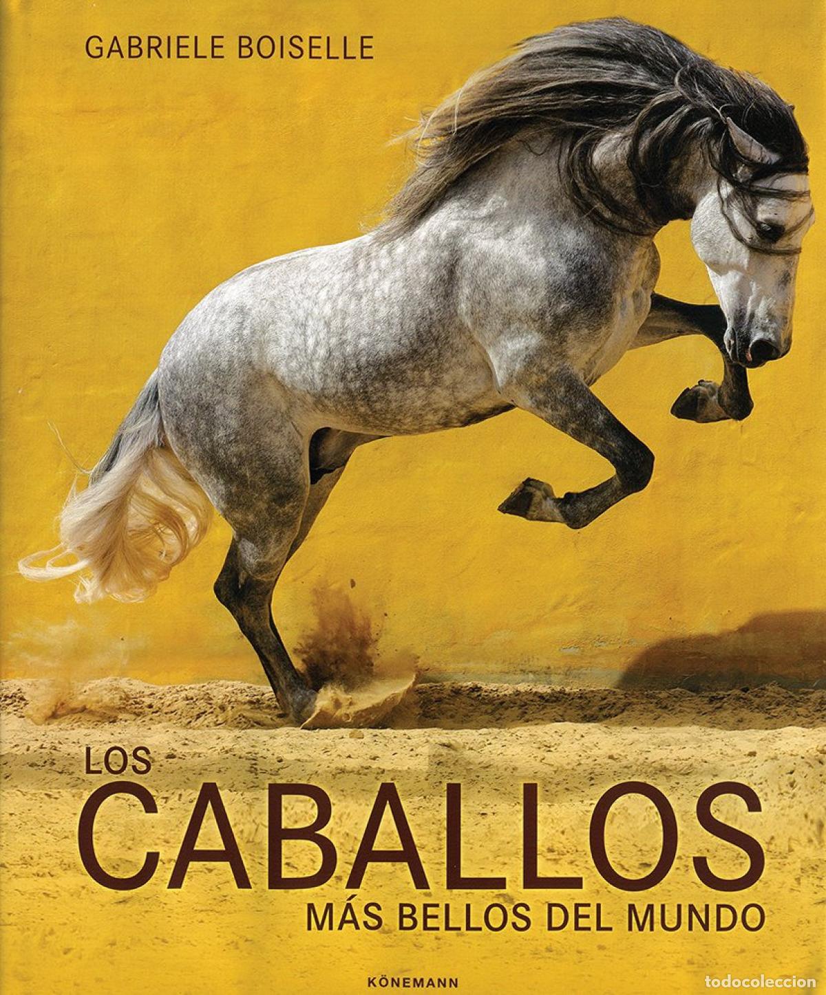 B&uuml;cher: HORSES OF THE WORLD - AA.VV.
