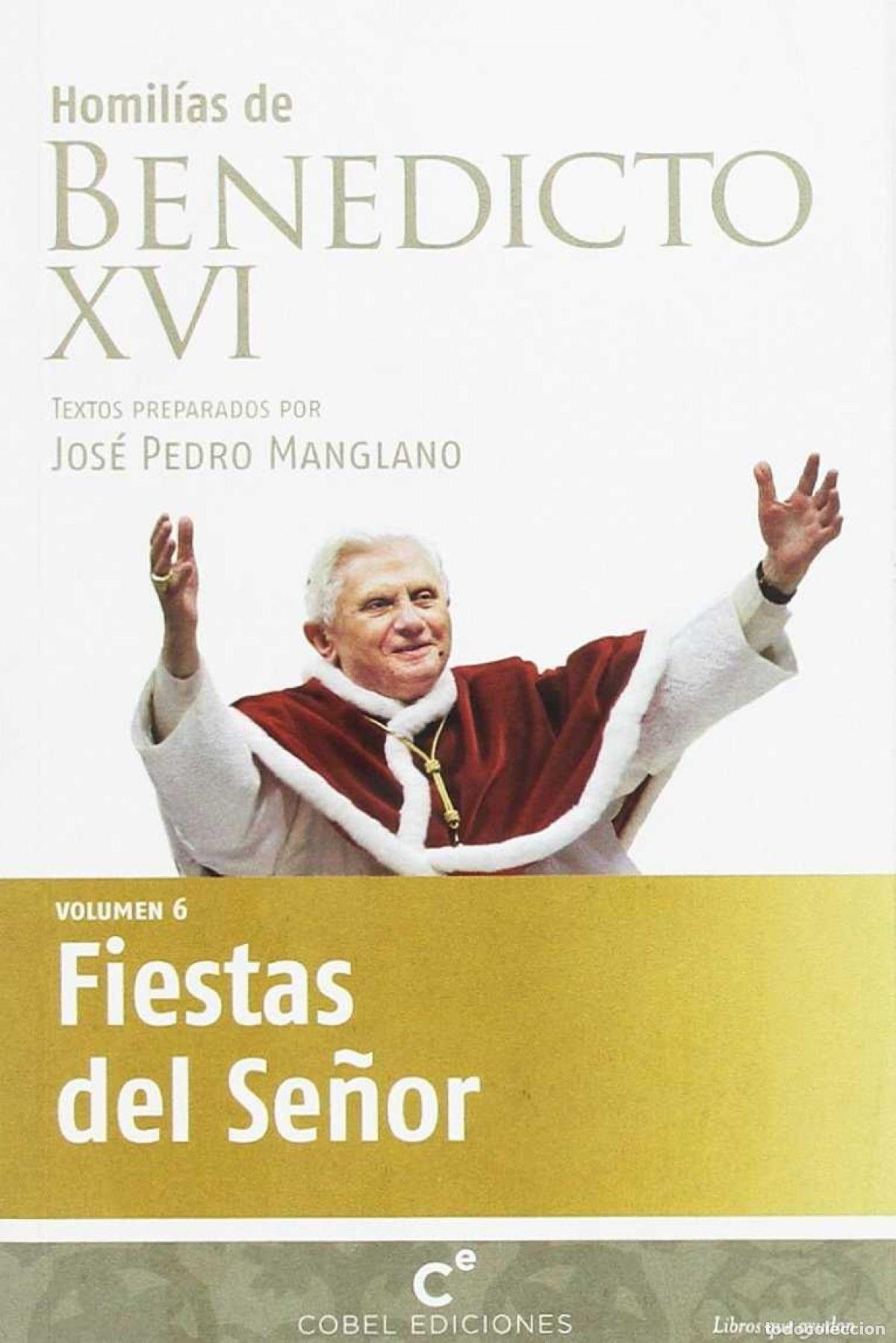 Libros: FIESTAS DEL SE&Ntilde;OR. VOL 6 - VV.AA.