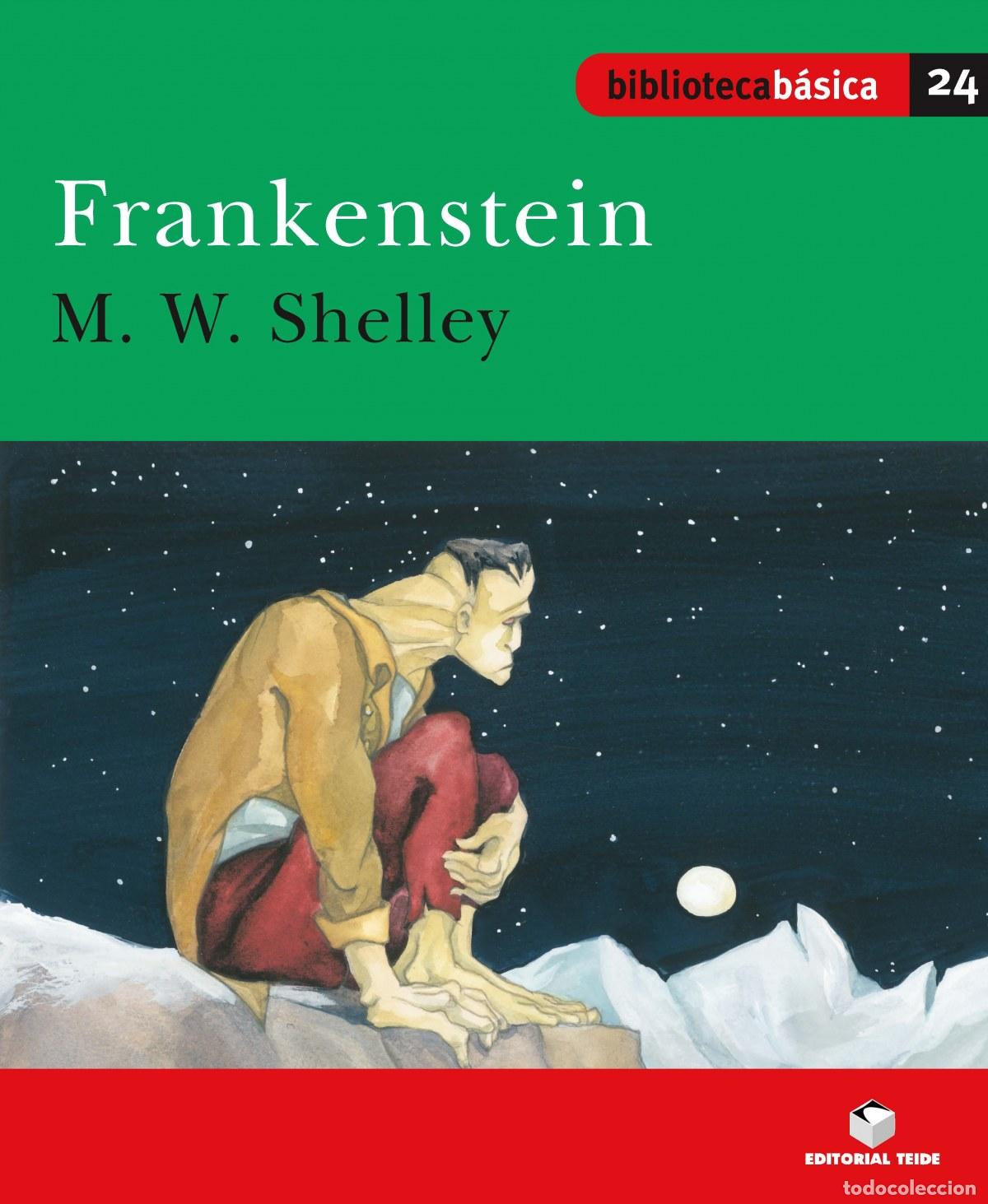 Libros: FRANKENSTEIN - VV.AA.
