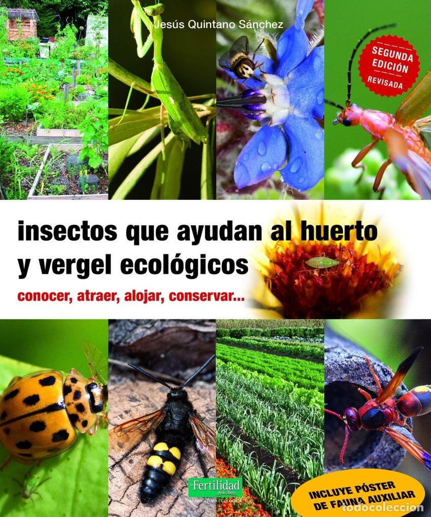 Livros: INSECTOS QUE AYUDAN EN EL HUERTO Y VERGEL ECOL&Oacute;GICOS - QUINTANO S&Aacute;NCHEZ, JES&Uacute;S