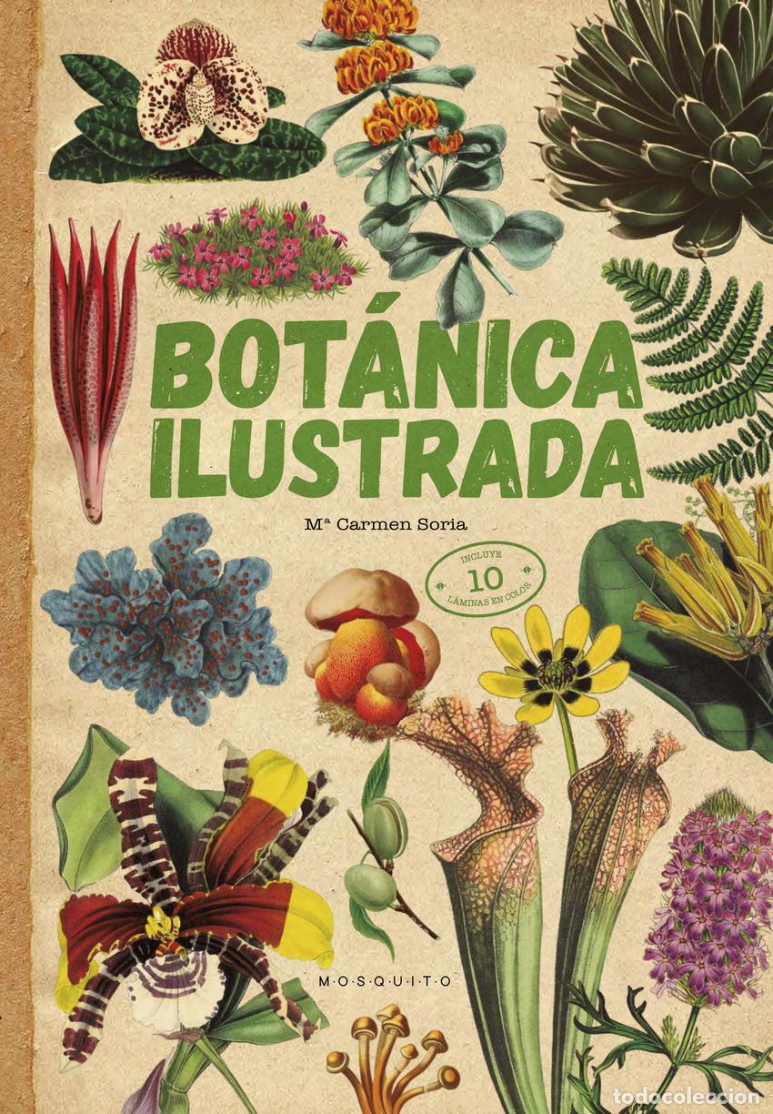 B&uuml;cher: BOT&Aacute;NICA ILUSTRADA - SORIA, CARMEN