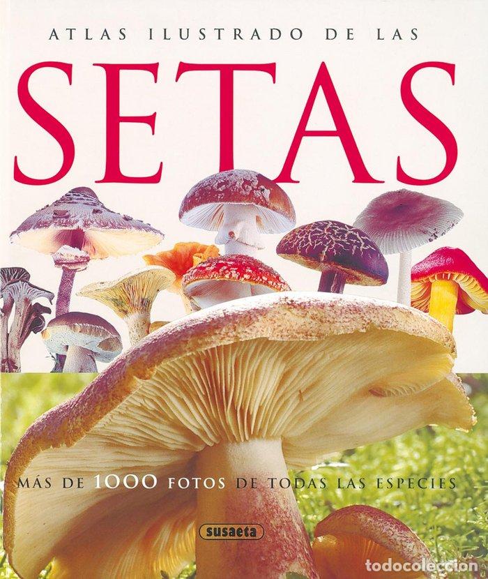 books: ATLAS ILUSTRADO DE LAS SETAS - AA.VV