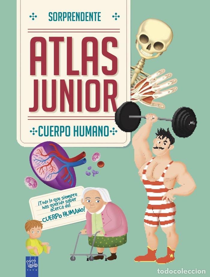 B&uuml;cher: CUERPO HUMANO - YOYO