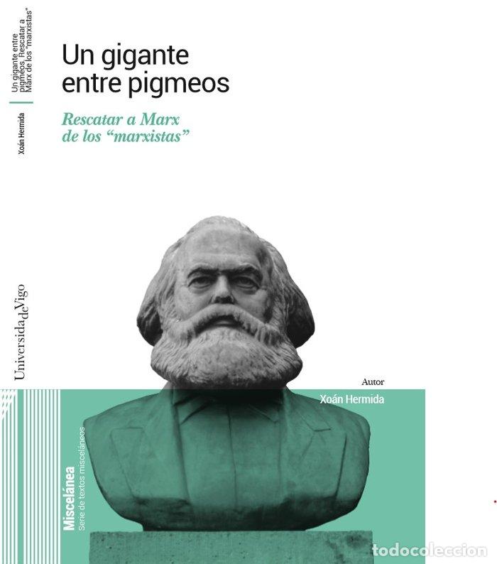 Libros: UN GIGANTE ENTRE PIGMEOS - HERMIDA GONZALEZ, XOAN
