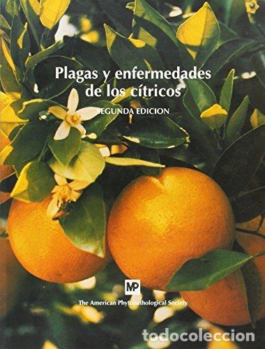Livres: PLAGAS Y ENFERMEDADES DE LOS CITRICOS - JUAN, CARLOS DE, TR.