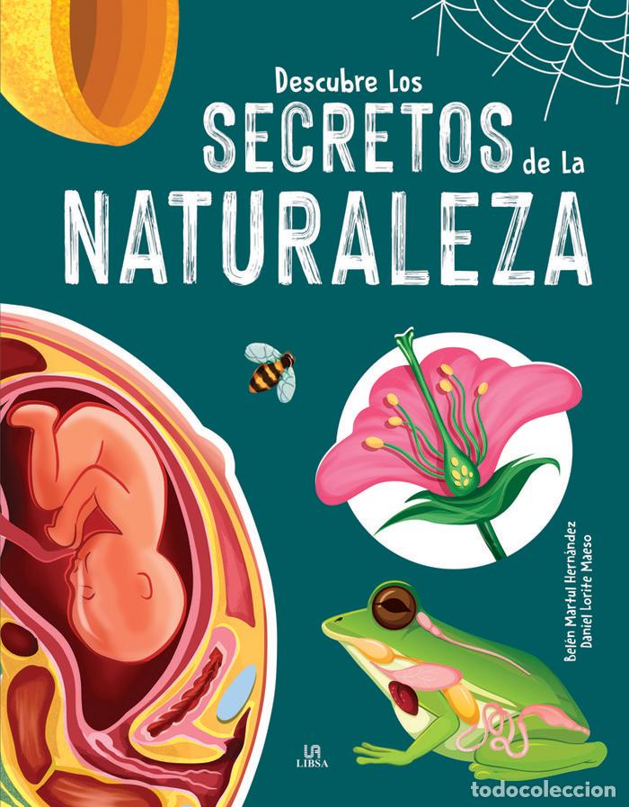 Livres: DESCUBRE LOS SECRETOS DE LA NATURALEZA - MARTUL HERNANDEZ, BELEN