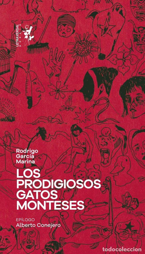 Libros: LOS PRODIGIOSOS GATOS MONTESES - GARCIA MARINA, RODRIGO