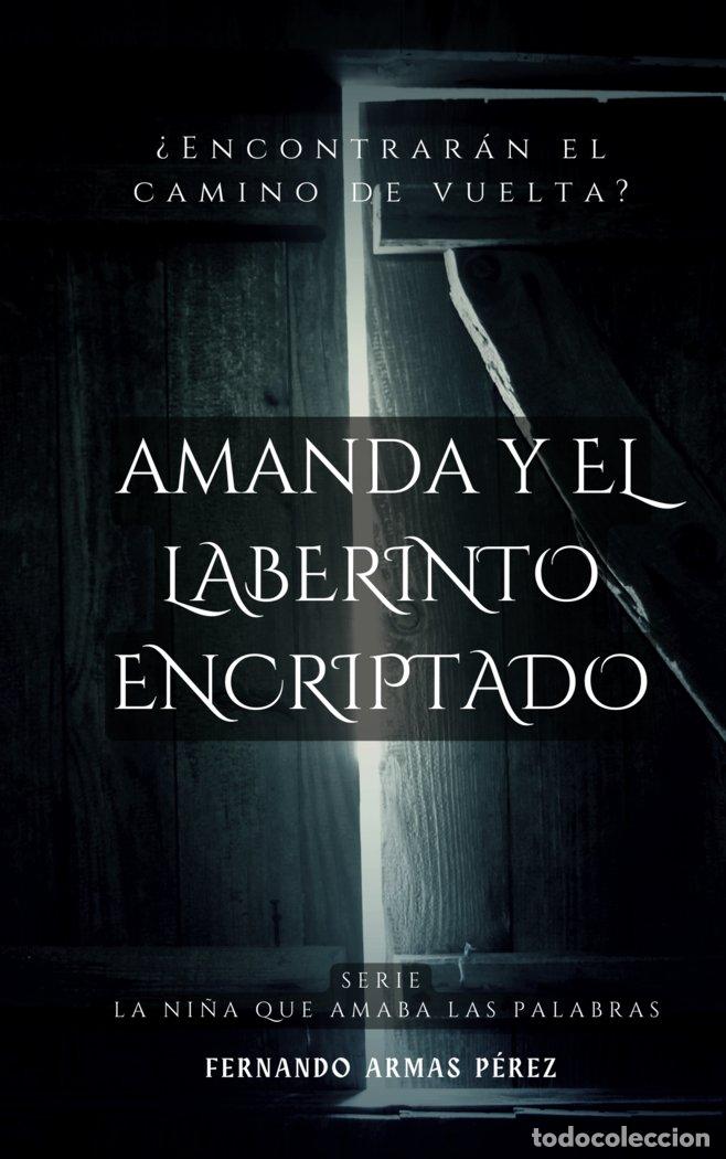 Libros: AMANDA Y EL LABERINTO ENCRIPTADO - ARMAS PEREZ, FERNANDO