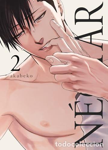 Libros: N&Eacute;CTAR 02 - AKABEKO.