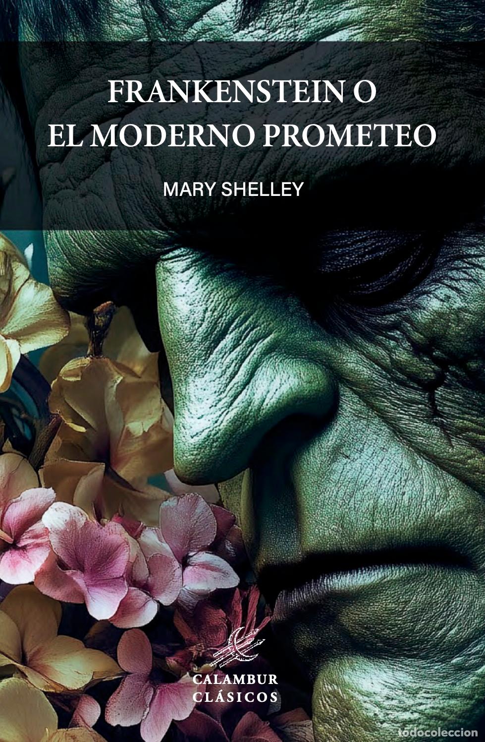 Libros: FRANKENSTEIN O EL MODERNO PROMETEO - SHELLEY, MARY