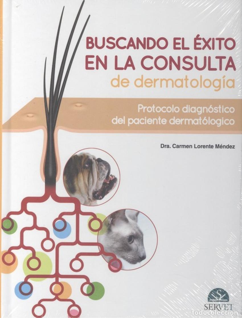 Libri: BUSCANDO EL &Egrave;XITO EN LA CONSULTA DE DERMATOLOG&Iacute;A - Lorente M&eacute;ndez, Carmen
