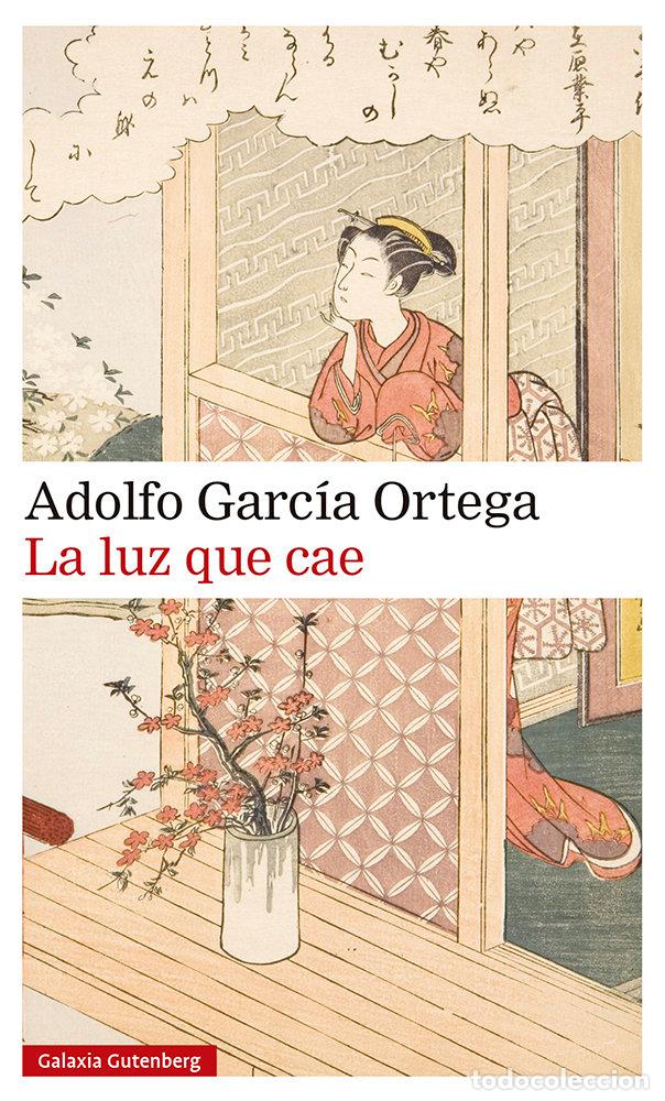 Libros: LA LUZ QUE CAE - GARCIA ORTEGA, ADOLFO
