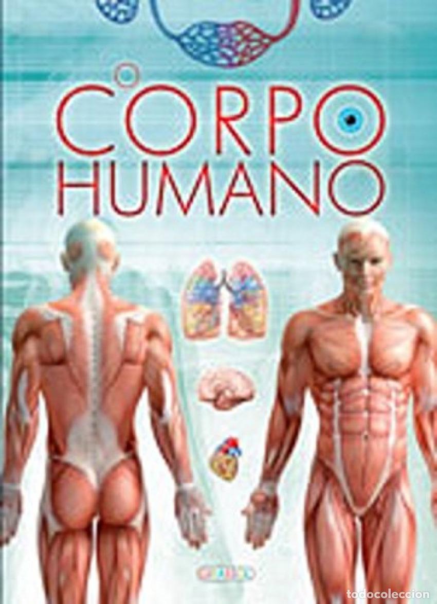 Libri: O CORPO HUMANO - VV.AA.