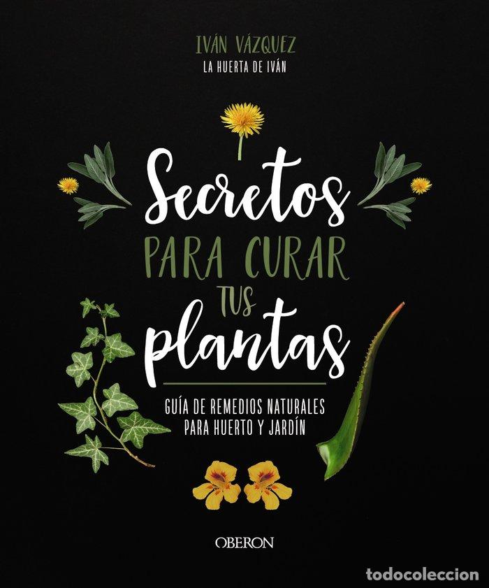 B&uuml;cher: SECRETOS PARA CURAR TUS PLANTAS - VAZQUEZ MU&Ntilde;OZ, IVAN