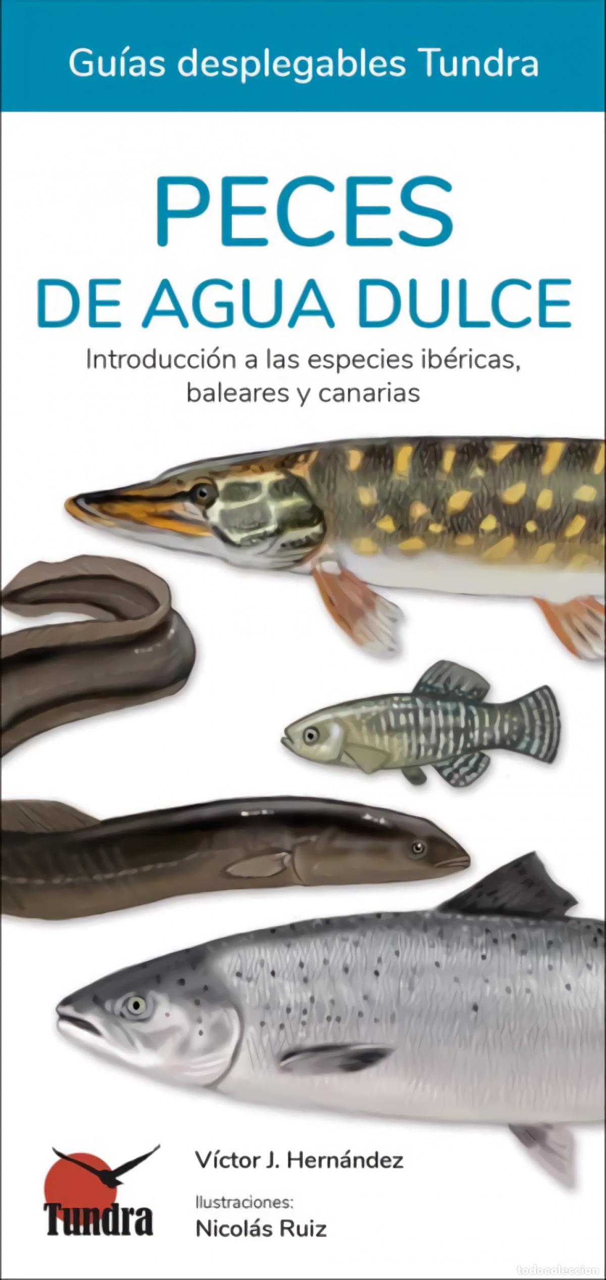 Libros: PECES DE AGUA DULCE - GUIAS DESPLEGABLES TUNDRA - HERNANDEZ, VICTOR J