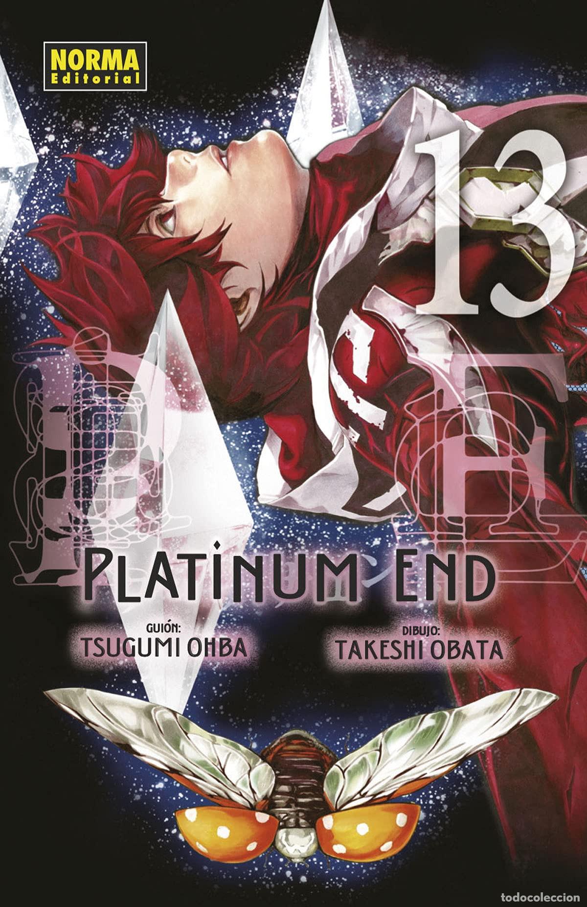 Libri: PLATINUM END 13 - TAKESHI, OBATA