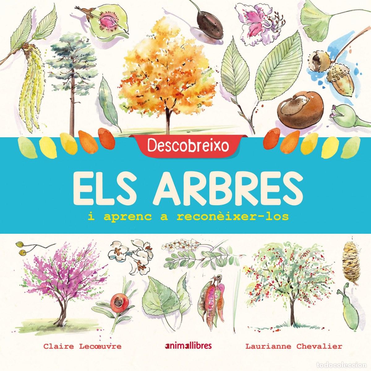 books: DESCOBREIXO ELS ARBRES I APRENC A RECON&Egrave;IXER-LOS - Lecoeuvre, Claire