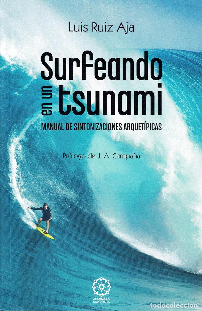 Livres: SURFEANDO EN UN TSUNAMI - RUIZ AJA, LUIS