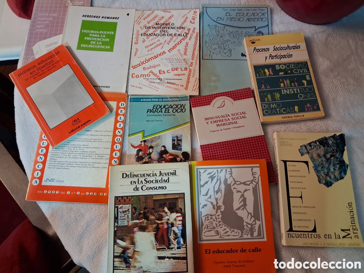 Libros: La educaci&oacute;n social en Espa&ntilde;a.