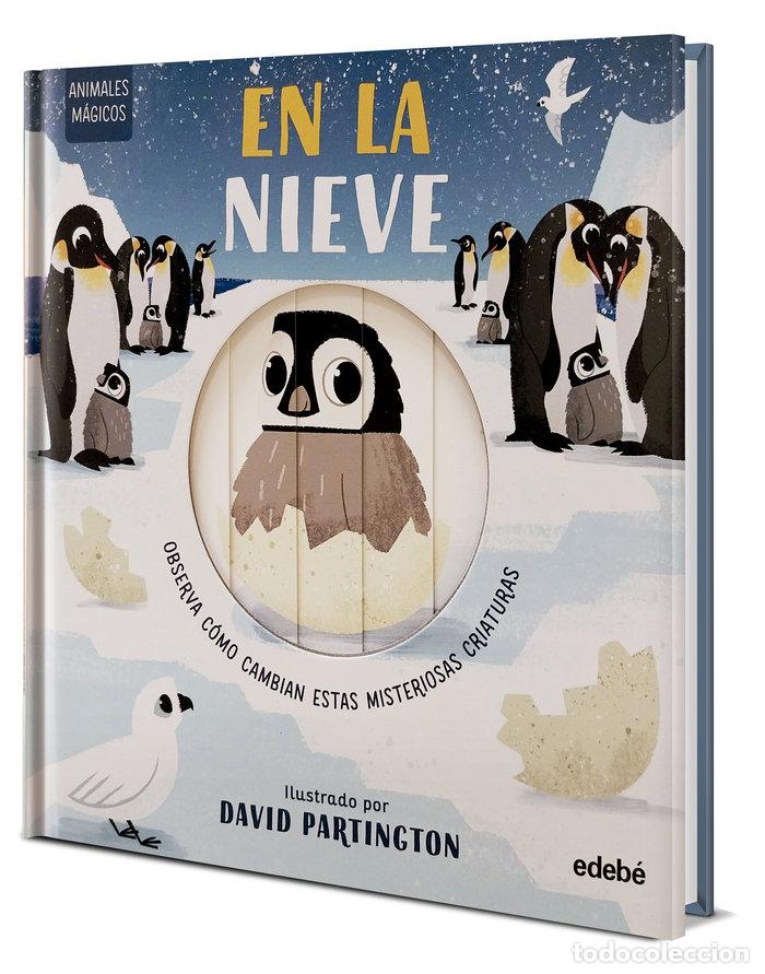 B&uuml;cher: ANIMALES MAGICOS EN LA NIEVE - CLARK, NEIL