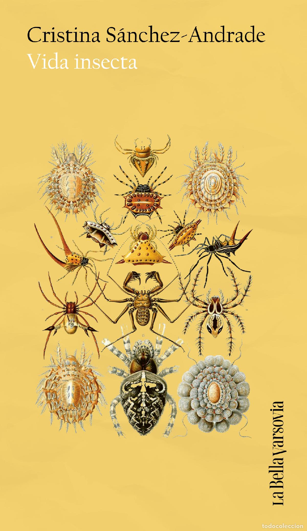 Libros: VIDA INSECTA - Cristina S&aacute;nchez Andrade