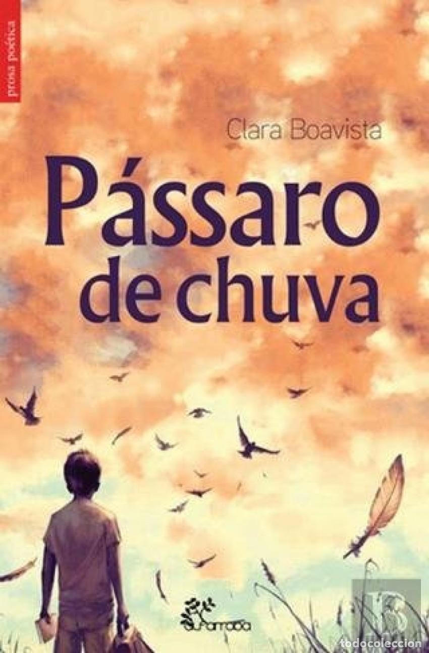 Libros: P&Aacute;SSARO DE CHUVA - Boavista, Clara