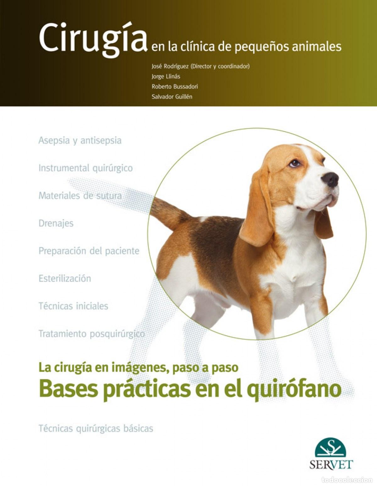 Libri: BASES PR&Aacute;CTICAS EN EL QUIR&Oacute;FANO - VV.AA.