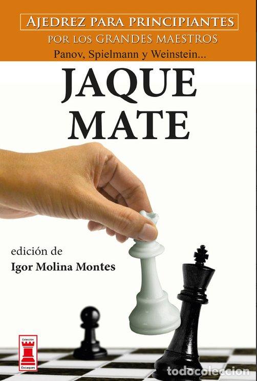B&uuml;cher: JAQUE MATE - IGOR MOLINA MONTES