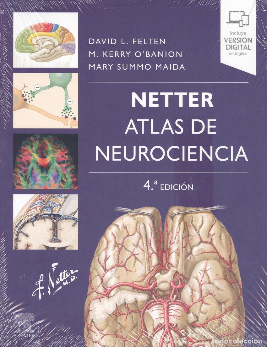 B&uuml;cher: NETTER. ATLAS DE NEUROCIENCIA (4&ordf; ED.) - Felten, David L
